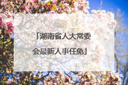湖南省人大常委会最新人事任免