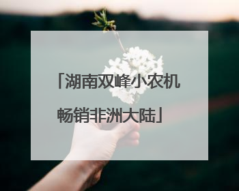 湖南双峰小农机畅销非洲大陆