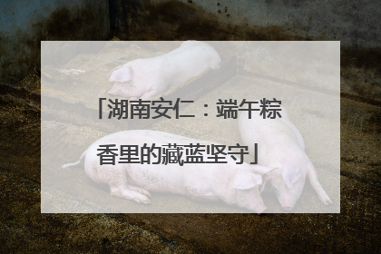 湖南安仁：端午粽香里的藏蓝坚守
