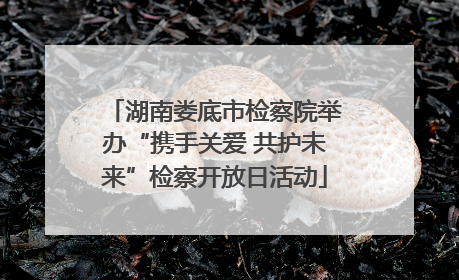 湖南娄底市检察院举办“携手关爱 共护未来”检察开放日活动