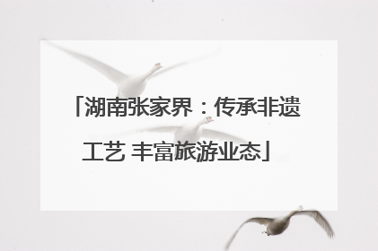 湖南张家界：传承非遗工艺 丰富旅游业态