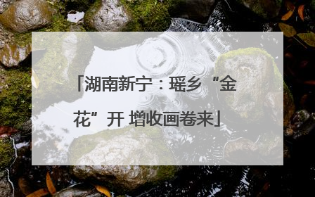 湖南新宁：瑶乡“金花”开 增收画卷来