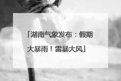 湖南气象发布：假期大暴雨！雷暴大风