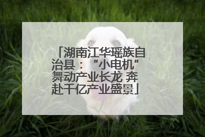 湖南江华瑶族自治县：“小电机”舞动产业长龙 奔赴千亿产业盛景