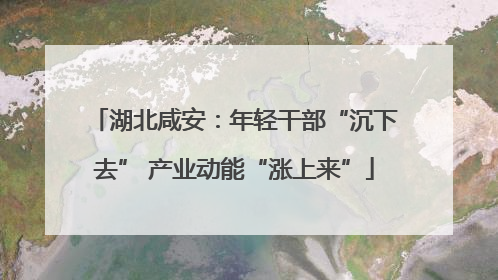 湖北咸安：年轻干部“沉下去” 产业动能“涨上来”