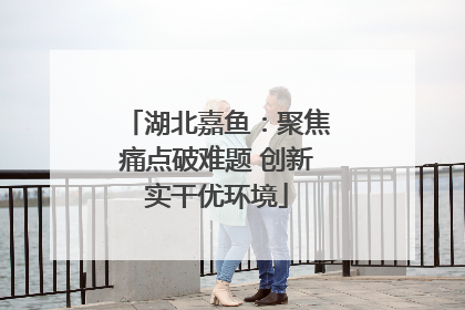 湖北嘉鱼：聚焦痛点破难题 创新实干优环境