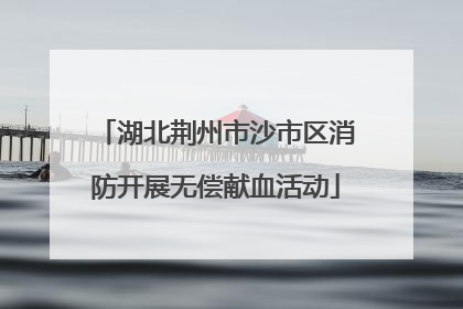 湖北荆州市沙市区消防开展无偿献血活动