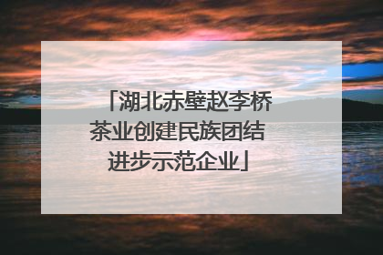 湖北赤壁赵李桥茶业创建民族团结进步示范企业