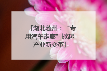 湖北随州：“专用汽车走廊”掀起产业新变革