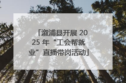 溆浦县开展 2025 年“工会帮就业”直播带岗活动