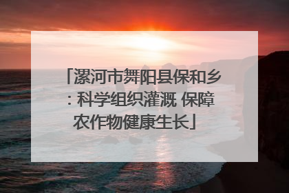 漯河市舞阳县保和乡：科学组织灌溉 保障农作物健康生长