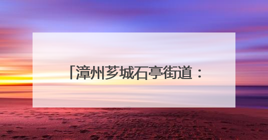漳州芗城石亭街道：开展“童谣‘粽’动员，欢乐庆双节” 过端午，庆六一活动