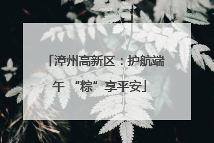 漳州高新区：护航端午 “粽”享平安