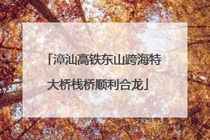 漳汕高铁东山跨海特大桥栈桥顺利合龙