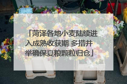 菏泽各地小麦陆续进入成熟收获期 多措并举确保夏粮颗粒归仓