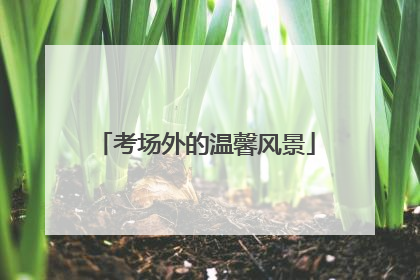 考场外的温馨风景