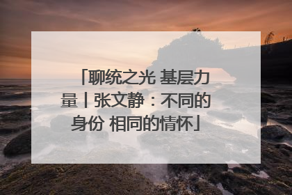 聊统之光 基层力量丨张文静：不同的身份 相同的情怀