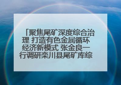 聚焦尾矿深度综合治理 打造有色金属循环经济新模式 张金良一行调研栾川县尾矿库综合治理工作