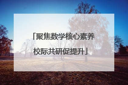 聚焦数学核心素养 校际共研促提升