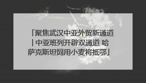 聚焦武汉中亚外贸新通道│中亚班列开辟双通道 哈萨克斯坦饲用小麦将抵鄂