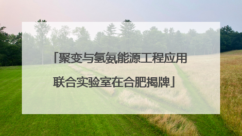 聚变与氢氨能源工程应用联合实验室在合肥揭牌