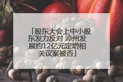 股东大会上中小股东发力反对 漳州发展约12亿元定增相关议案被否