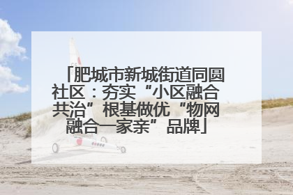 肥城市新城街道同圆社区：夯实“小区融合共治”根基做优“物网融合一家亲”品牌