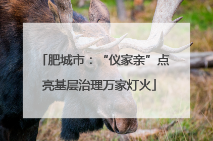 肥城市：“仪家亲”点亮基层治理万家灯火