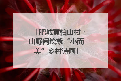 肥城黄柏山村：山野间绘就“小而美”乡村诗画