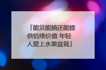 能赏能摘还能提供情绪价值 年轻人爱上水果盆栽