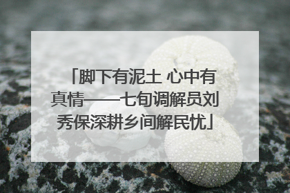 脚下有泥土 心中有真情——七旬调解员刘秀保深耕乡间解民忧