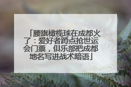 腰旗橄榄球在成都火了：爱好者蹲点抢世运会门票，俱乐部把成都地名写进战术暗语