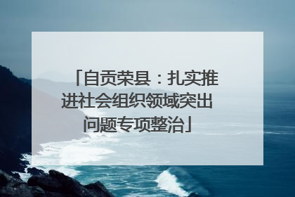 自贡荣县：扎实推进社会组织领域突出问题专项整治