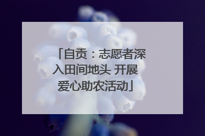自贡：志愿者深入田间地头 开展爱心助农活动