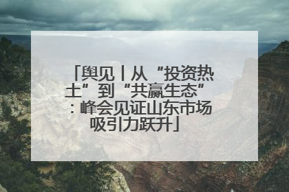 舆见丨从“投资热土”到“共赢生态”：峰会见证山东市场吸引力跃升