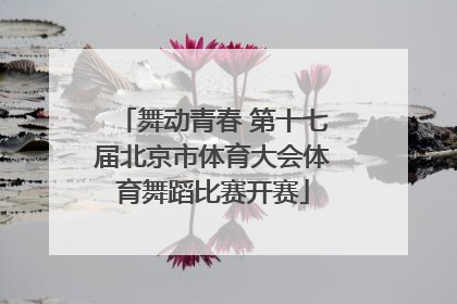舞动青春 第十七届北京市体育大会体育舞蹈比赛开赛