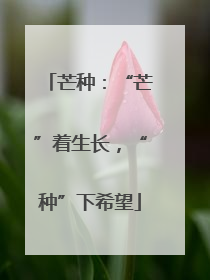 芒种：“芒”着生长，“种”下希望