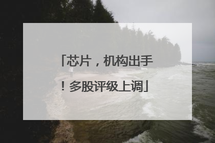 芯片，机构出手！多股评级上调