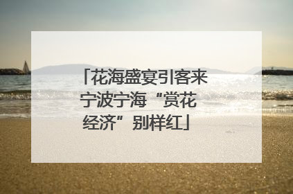 花海盛宴引客来 宁波宁海“赏花经济”别样红