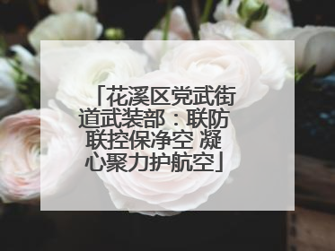 花溪区党武街道武装部：联防联控保净空 凝心聚力护航空