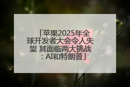 苹果2025年全球开发者大会令人失望 其面临两大挑战：AI和特朗普