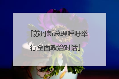 苏丹新总理呼吁举行全面政治对话