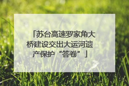 苏台高速罗家角大桥建设交出大运河遗产保护“答卷”