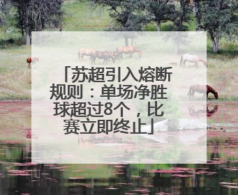 苏超引入熔断规则：单场净胜球超过8个，比赛立即终止