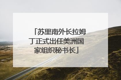 苏里南外长拉姆丁正式出任美洲国家组织秘书长