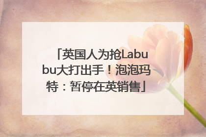 英国人为抢Labubu大打出手！泡泡玛特：暂停在英销售