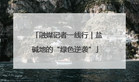 融媒记者一线行｜盐碱地的“绿色逆袭”