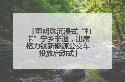 董明珠沉浸式“打卡”宁乡非遗，出席格力钛新能源公交车投放启动式