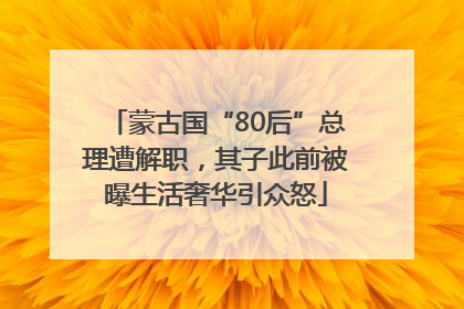 蒙古国“80后”总理遭解职，其子此前被曝生活奢华引众怒