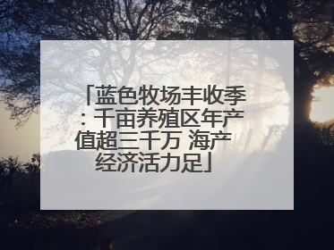 蓝色牧场丰收季：千亩养殖区年产值超三千万 海产经济活力足